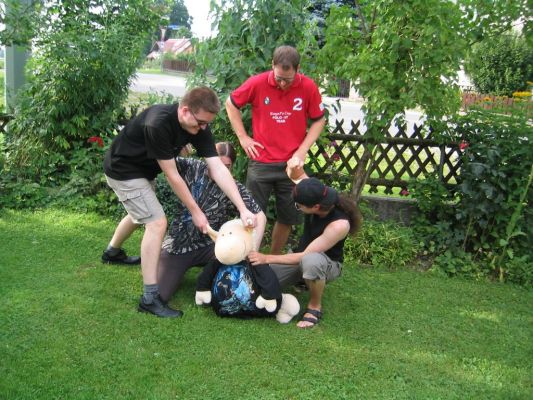 Klicken für Bild in voller Größe