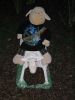 SoD und Dolly 1.JPG